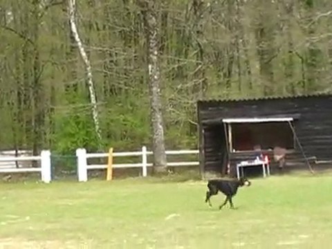 valea Obéissance avril 2010 3