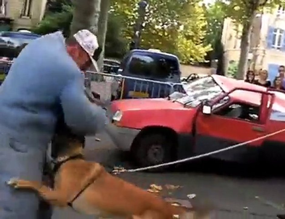 Brigade canine Gendarmerie de Montluçon