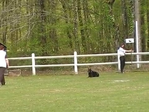 valea Obéissance avril 2010 6