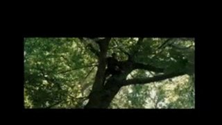 'Robin Hood' Teaser Trailer