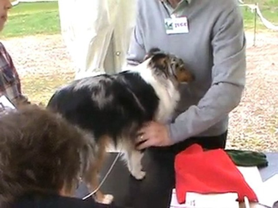 concours Eidy 13 mai 2010 (2)