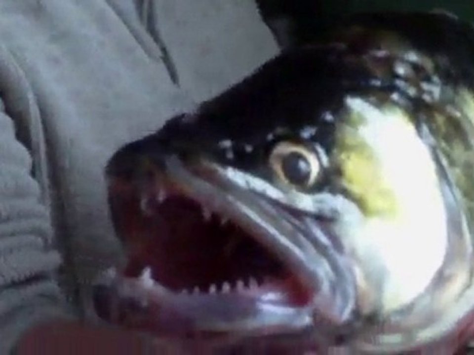 IMAG0012