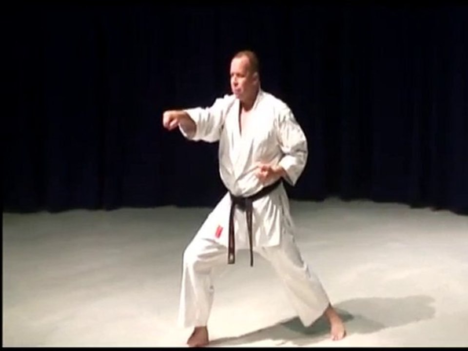 Shotokan karate kata Shotokan Brown Belt Kata