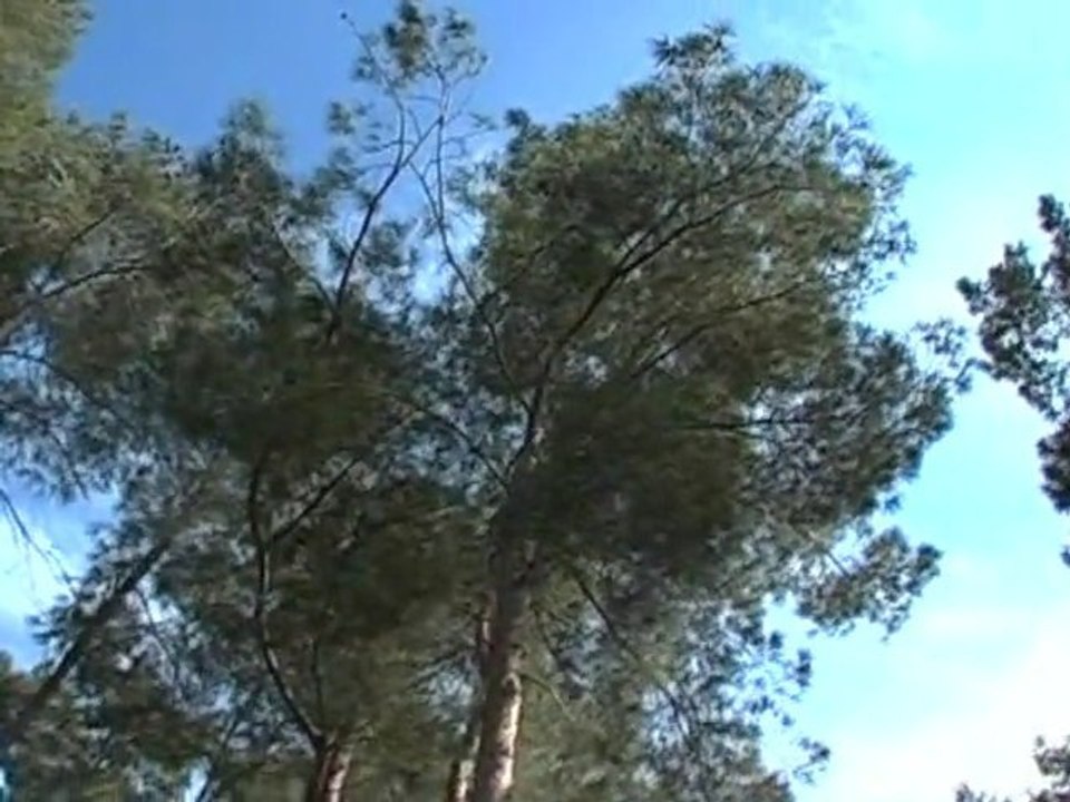 Йегуда Ашлаг (Бааль Сулам). Ки хилацта нафши