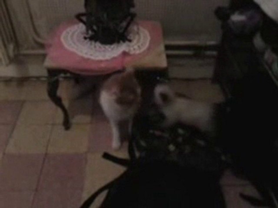 Les jeux de Filou et Elf