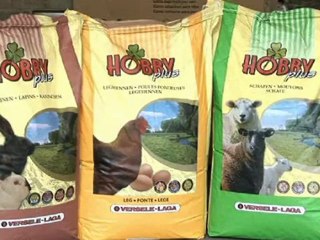 Animalerie à Beauraing, le magasin animal city