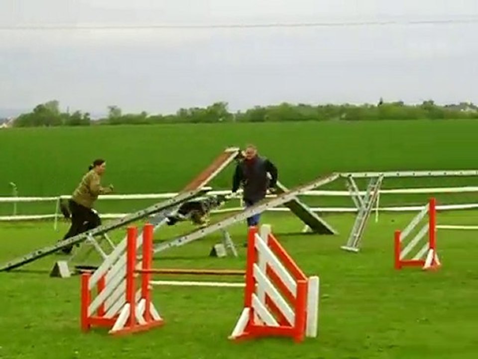 Dixie concours agility val de Metz 13-05-2010