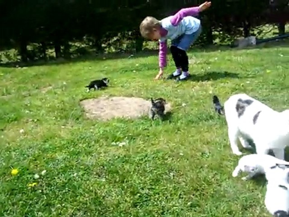 ma fille es les chatons