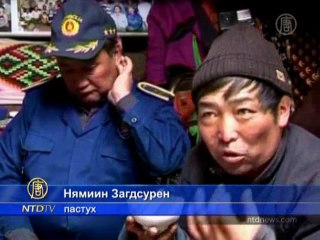 Погода испытала монгольских пастухов на прочность