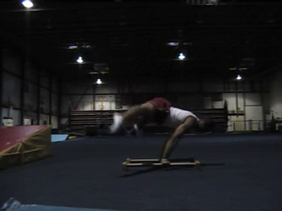 Cirque Audition