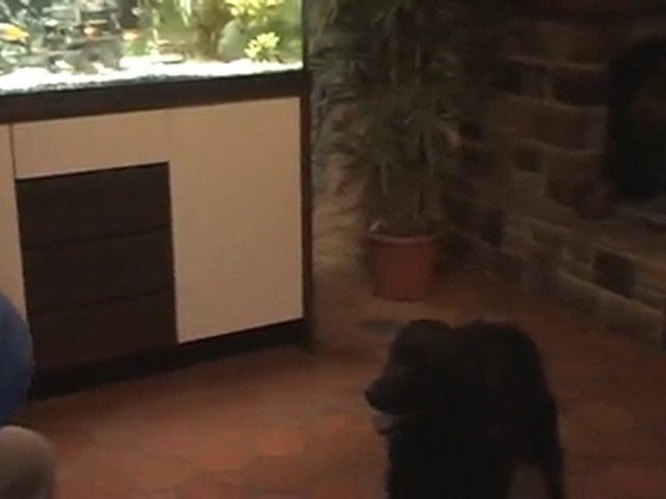 Teddy le Footballer !!