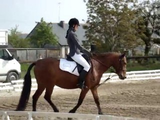 dressage plerguer 09/05/10 helene kiwen club 2