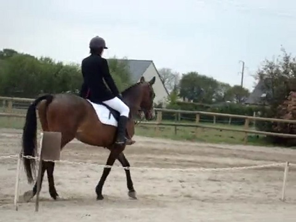 dressage plerguer 09/05/10 marion minou club 3
