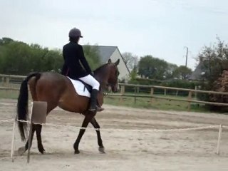 dressage plerguer 09/05/10 marion minou club 3