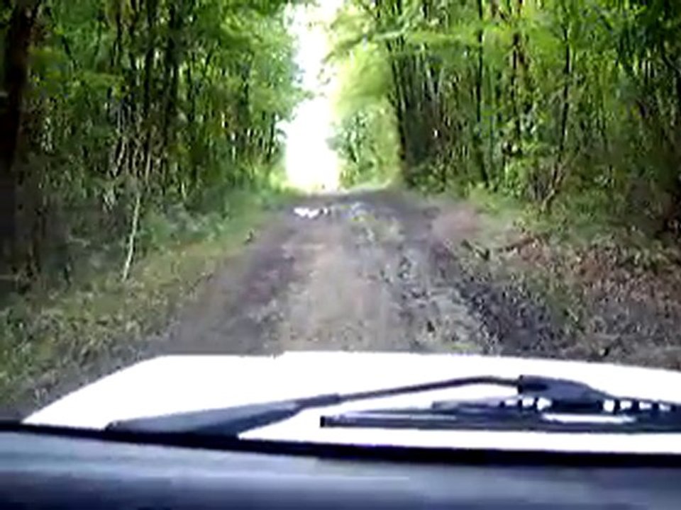 Clochette2, 1ère vidéo