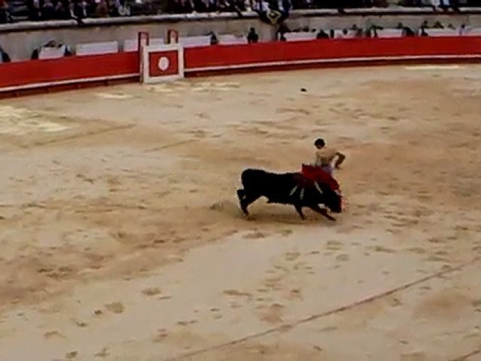 Novillada de la cape d'or: Thomas Joubert