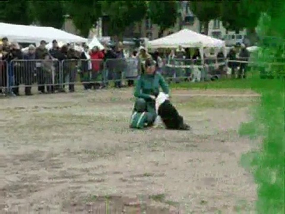 Démonstration obérythmée Evreux