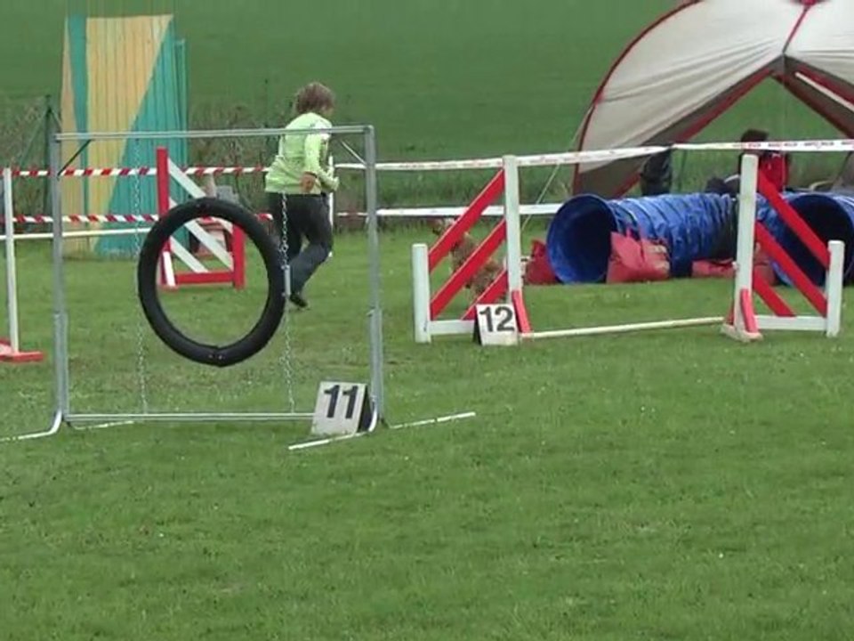 toupy VDM 2010