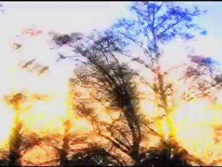 Monsters of Men (Chaos Walking Book #3) Book Trailer