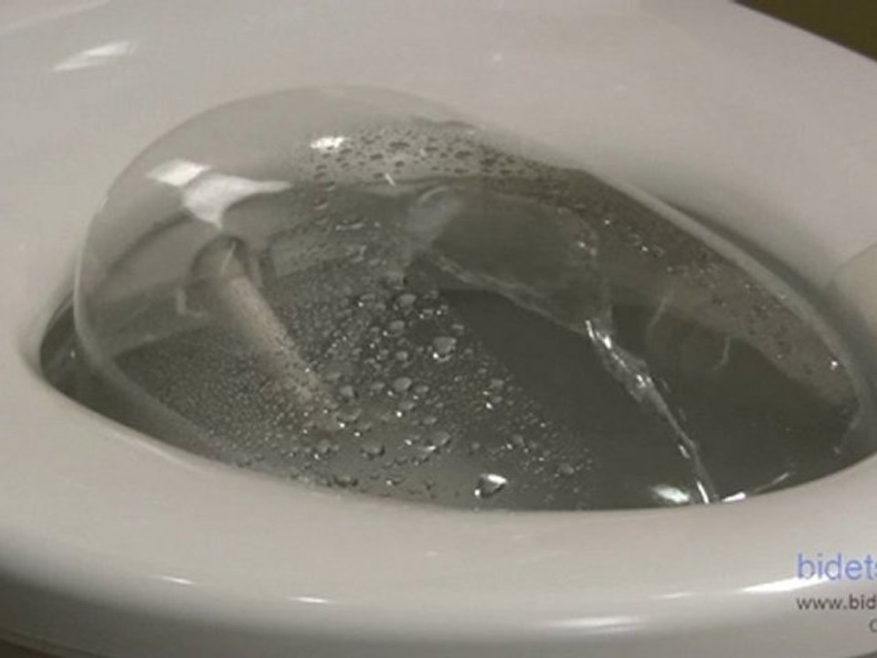 Bidet Review | Bio Bidet BB 1000