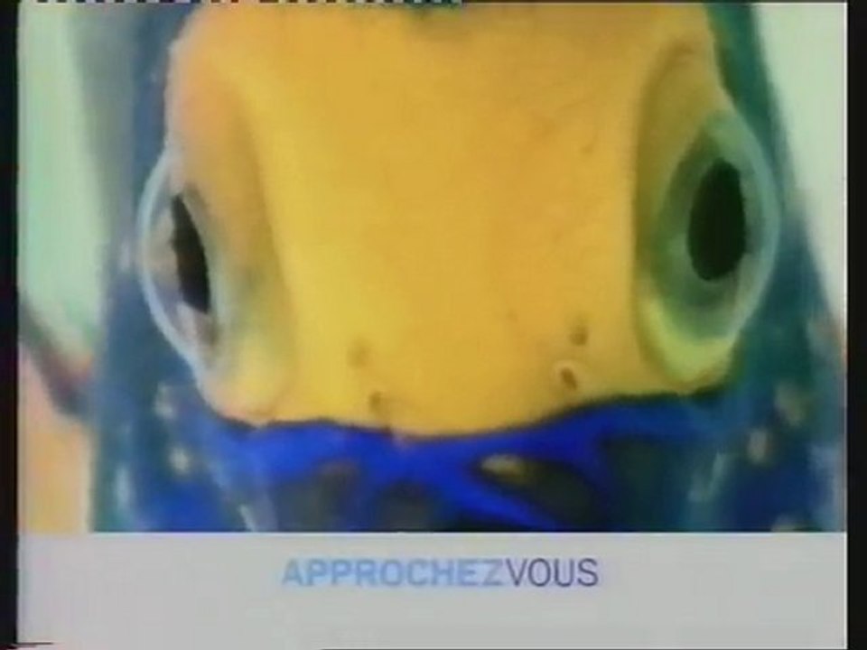 France 3 23 Octobre 1999 1 bande-annonce - plumes z'et paillettes