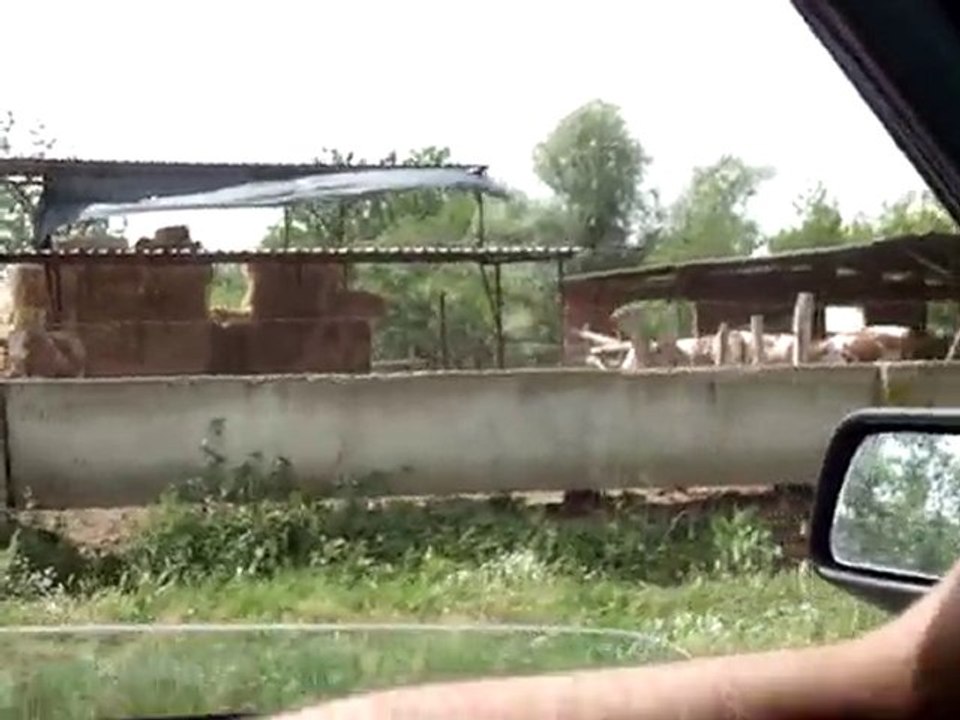 MOV00258