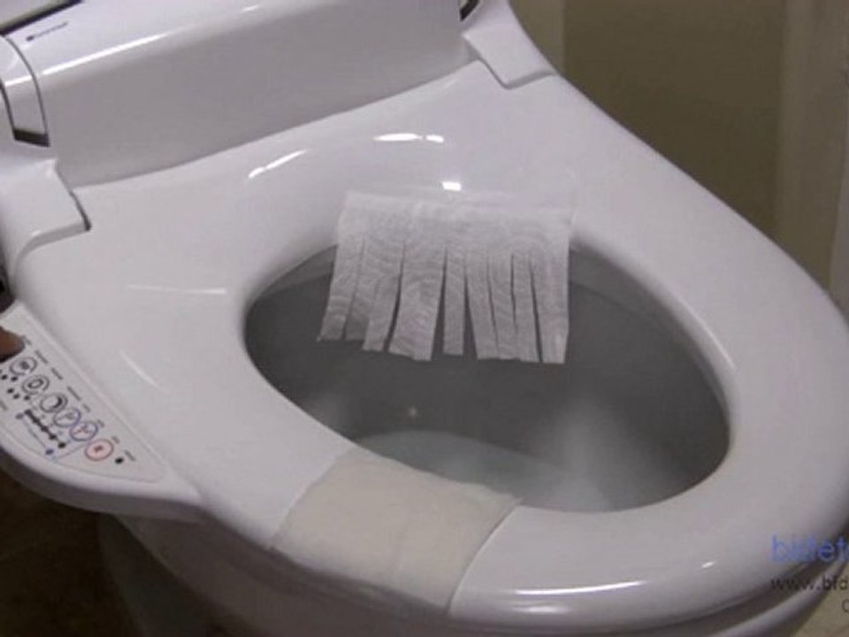 Bidet Review | Brondell Swash 550