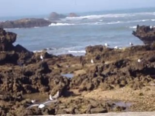 بـــتــرول  "مدينة " الصويـــــــرة " البحـــري" حقيقة دامغة