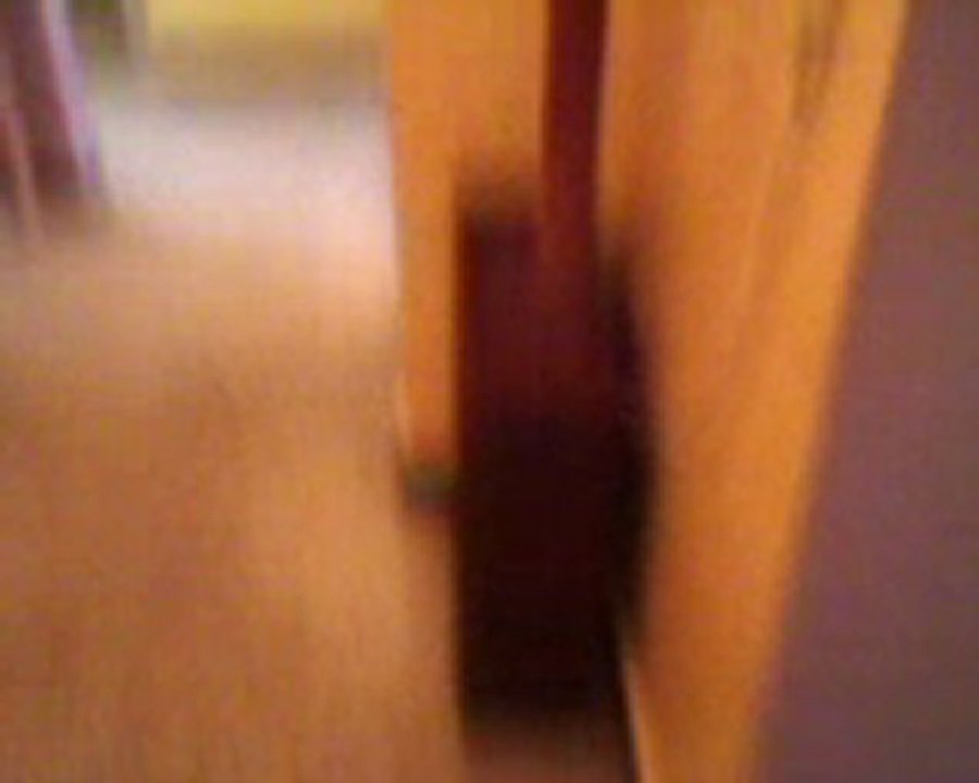 Vidéo-0002