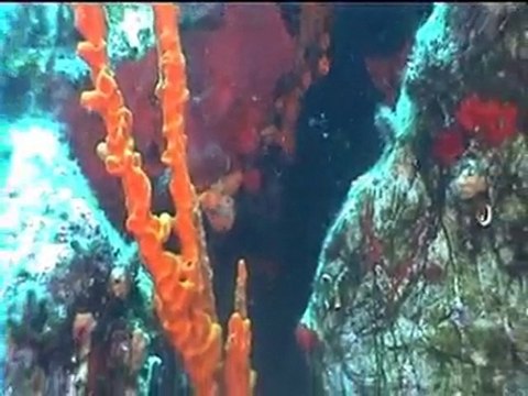 KAŞ tanıtım klip Fahir Atakoğlu fon muzıgı eşlıgınde