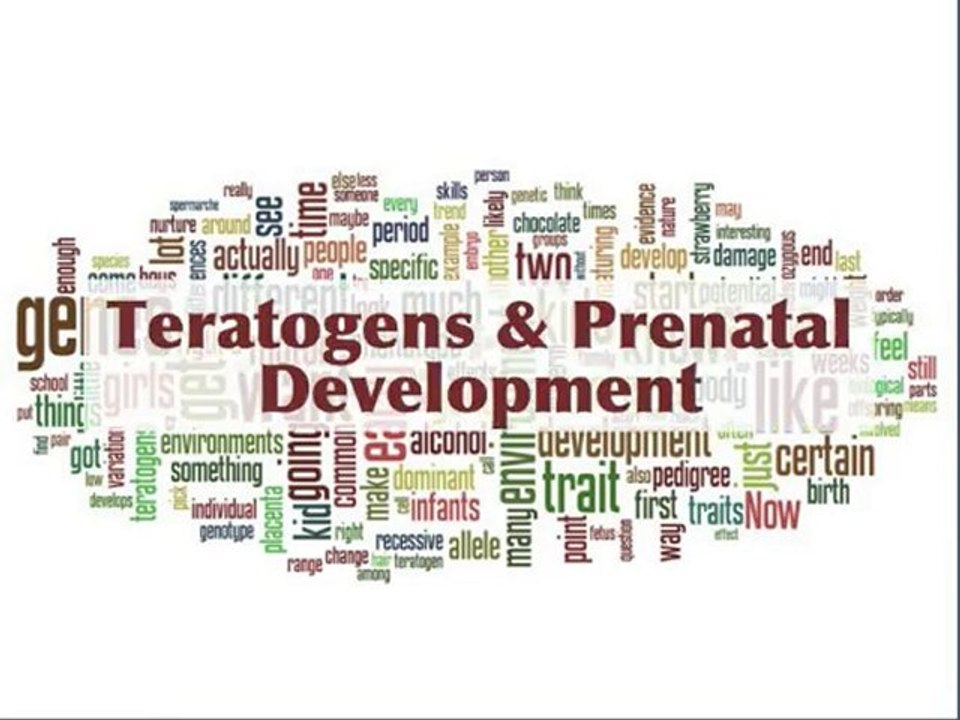 Module 2- Teratogens