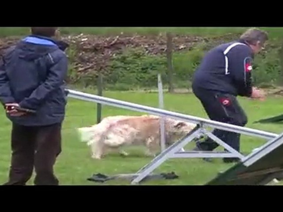 Salsa GPF Agility Peronnas 13/05/2010