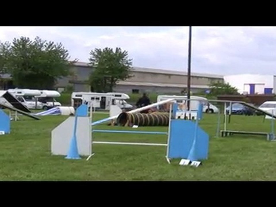 Salsa Degré Agility Peronnas 13/05/2010