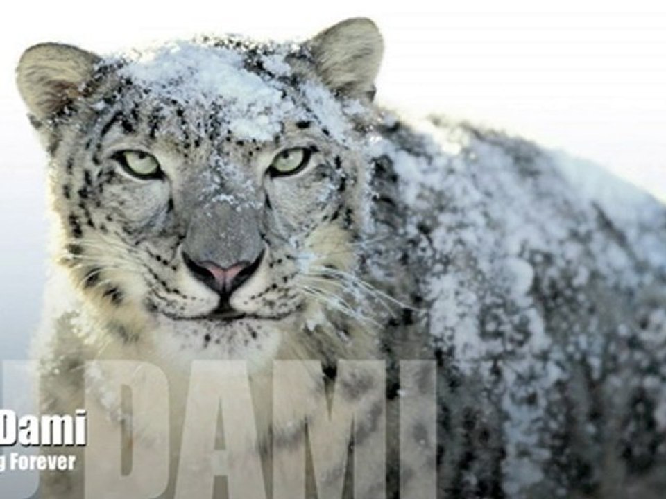 Dj Dami - Loving Forever