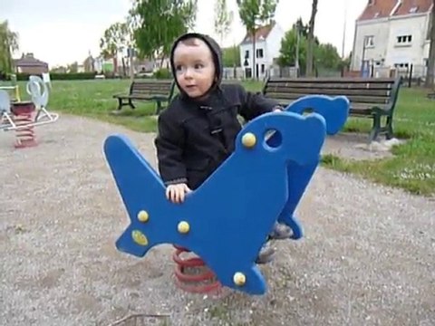 J'ai donné du poisson aux otaries au zoo