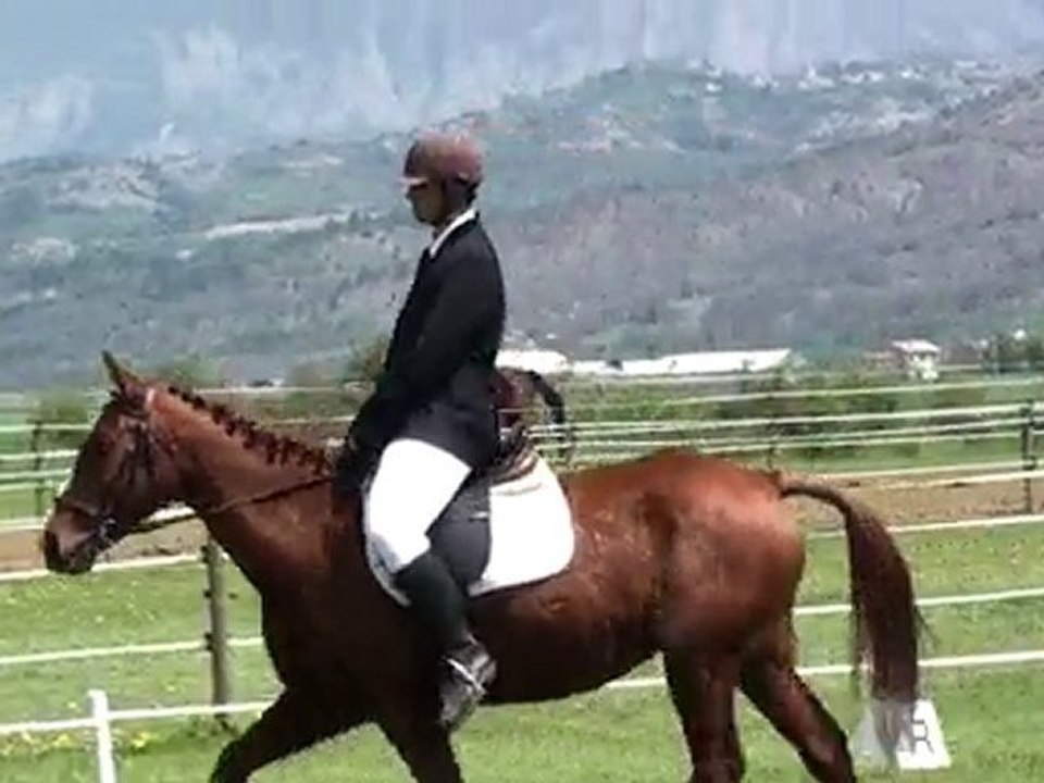 dressage poet