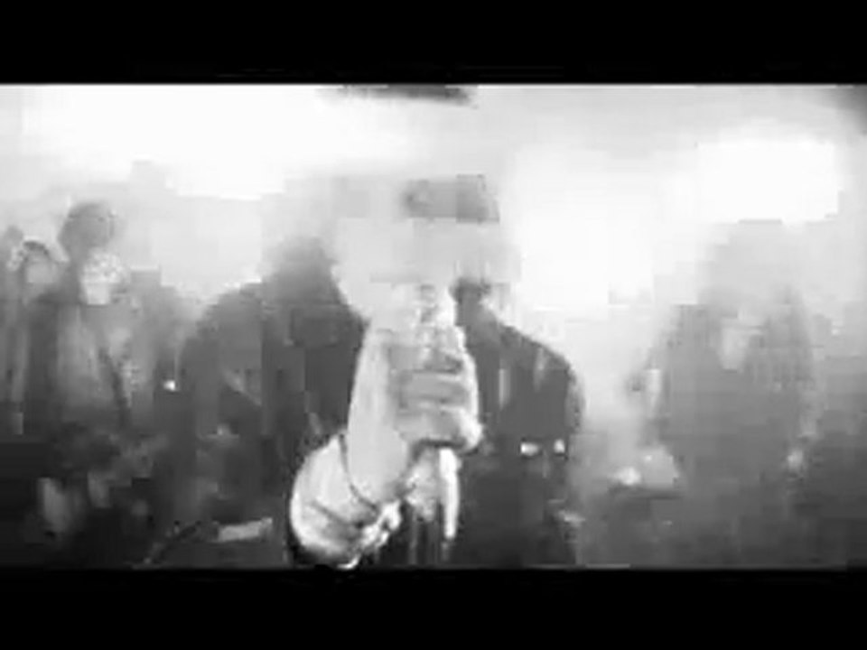 Imperial Vipers - Check This