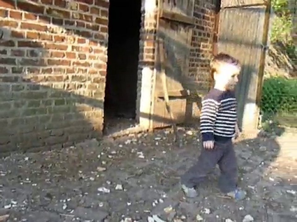 Dans le poulailler