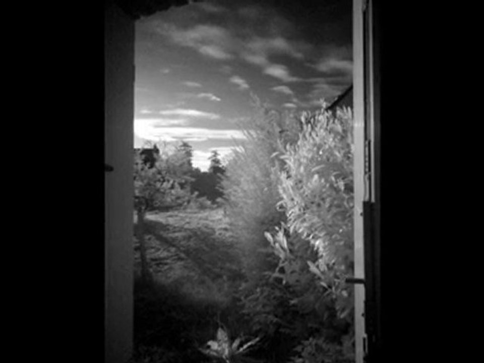 FUJI HS10 AVEC FILTRE IR 760