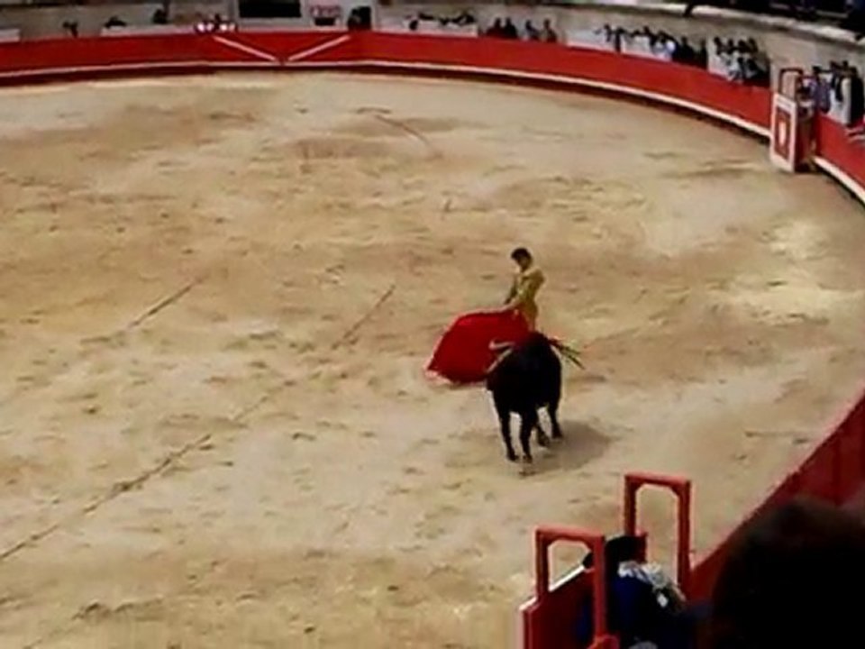 Patrick Oliver novillada cape d'or