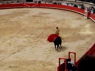 Patrick Oliver novillada cape d'or