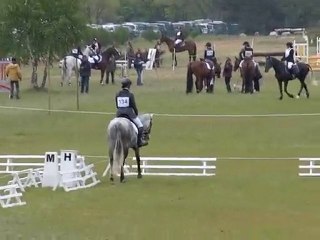 Silver et Moi Dress Fontainebleau 2010