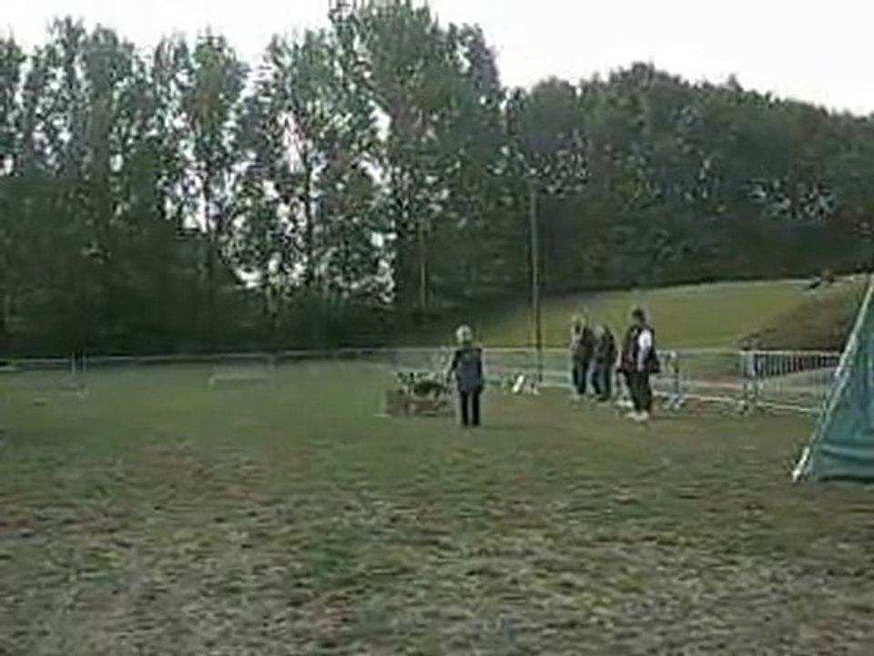 Concours obéissance Bessy 2