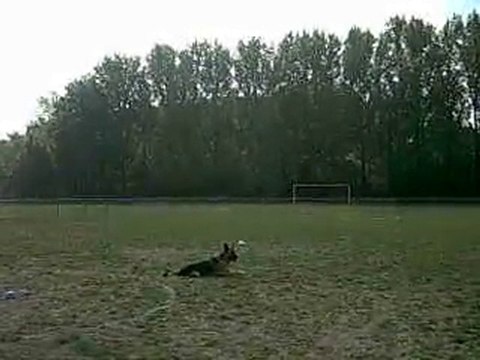 Concours obéissance Bessy 5