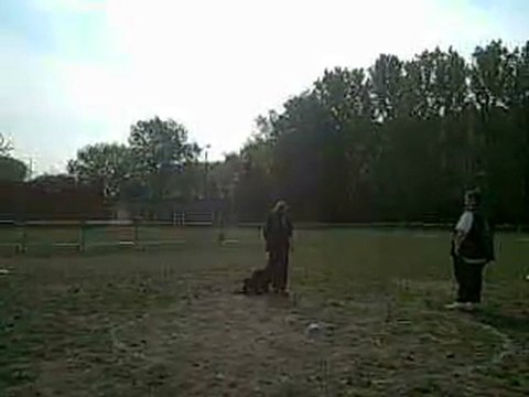 Concours obéissance Nourse