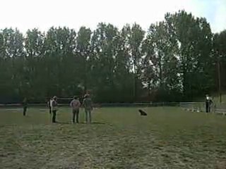 Concours obéissance Nourse 6