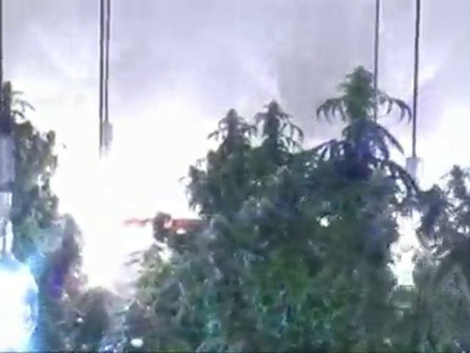 UG 48 Medi Grow