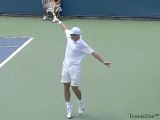 Ivan Ljubicic's Backhand– ProStrokes 2.0