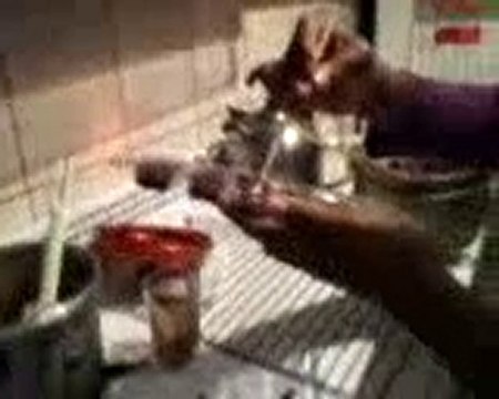 comercio 1151 - chocolate