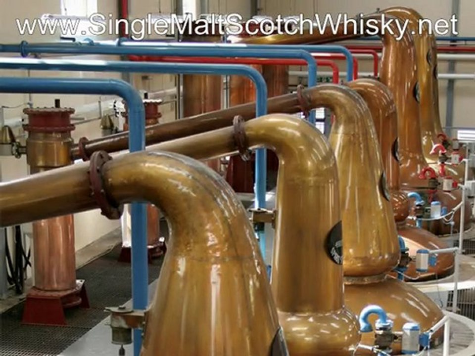 Single Malt Scotch Whisky